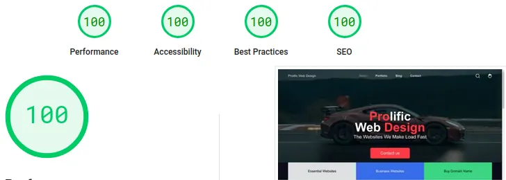 How to make a website load fast screenshot from Google Page Insights shows a perfect 100 percent score