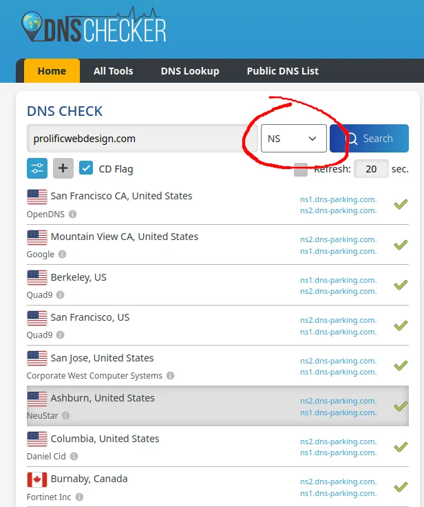 Screenshot of DNSChecker.org showing DNS propagation status for a domain name. This tool helps users verify nameserver changes after purchasing web hosting.